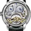 caseback